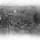 Illustration for article titled A Huge Batch Of Unseen WWII Photos Have Been Discovered And Restored